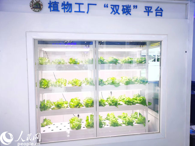 財經觀察 激發創新源頭活力，科技賦能數字內容，讓生活更精彩