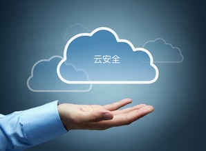 深信服三大基因特性 透視云安全與互聯網安全服務